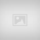 CAT Multi Terrain Positrak Loader